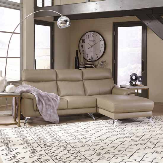Chaise Sofa - Full View 1